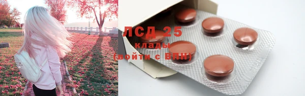 гидра Осташков