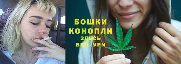 гидра Осташков