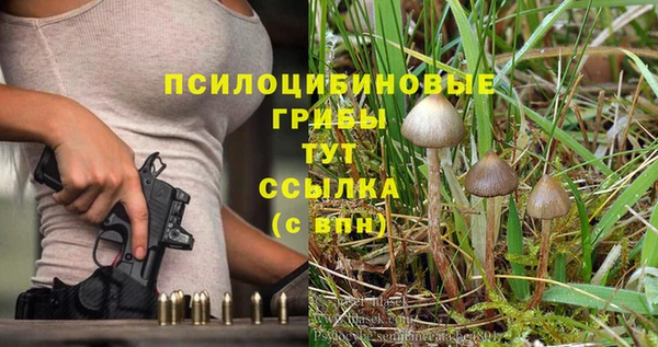 герыч Осинники
